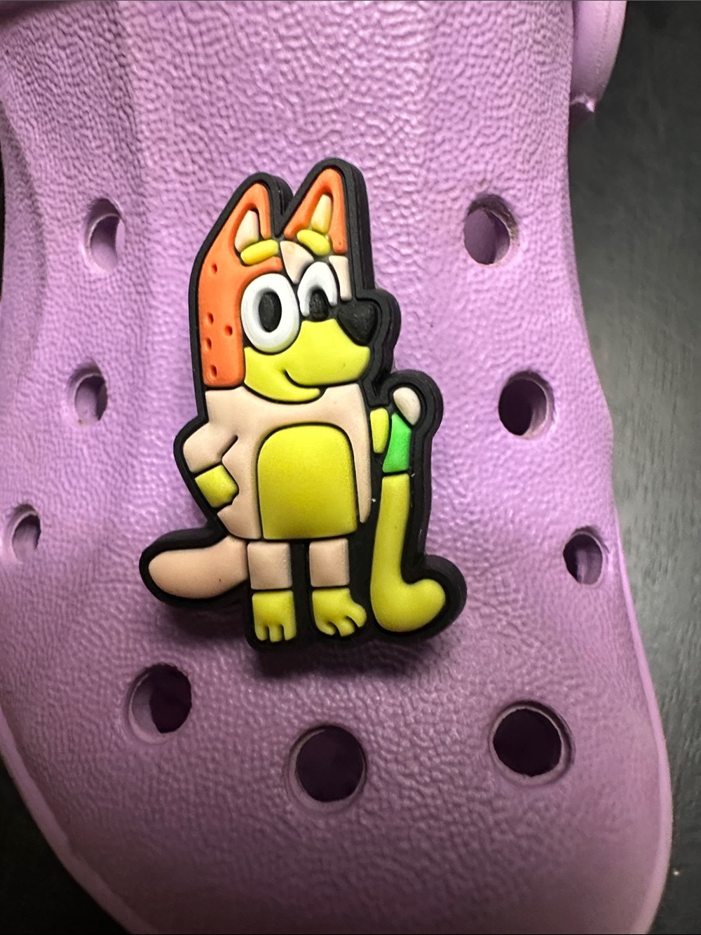 Bluey Character Shoe Charm